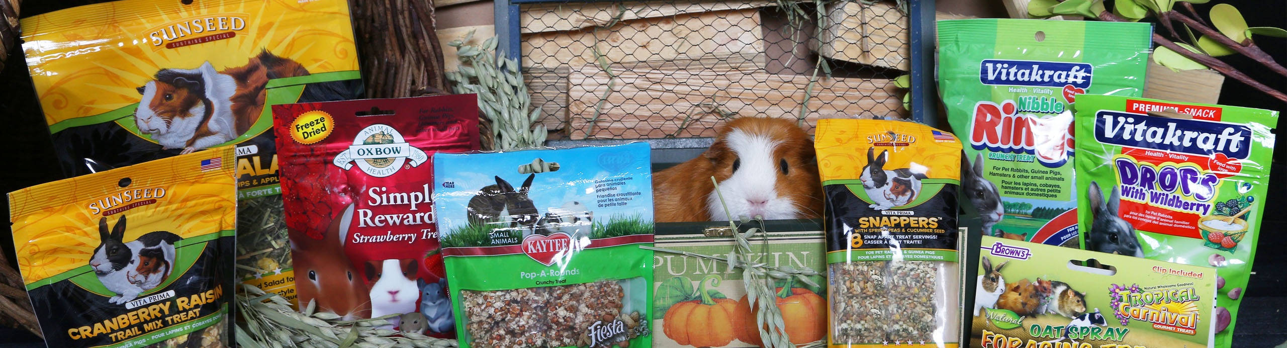 Creature Comforts Pet Store In Binghamton Ny