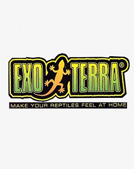 Creature Comforts Pet Store In Binghamton Ny